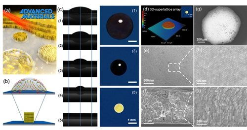 纳米自组装三维超晶格光学芯片研究获进展